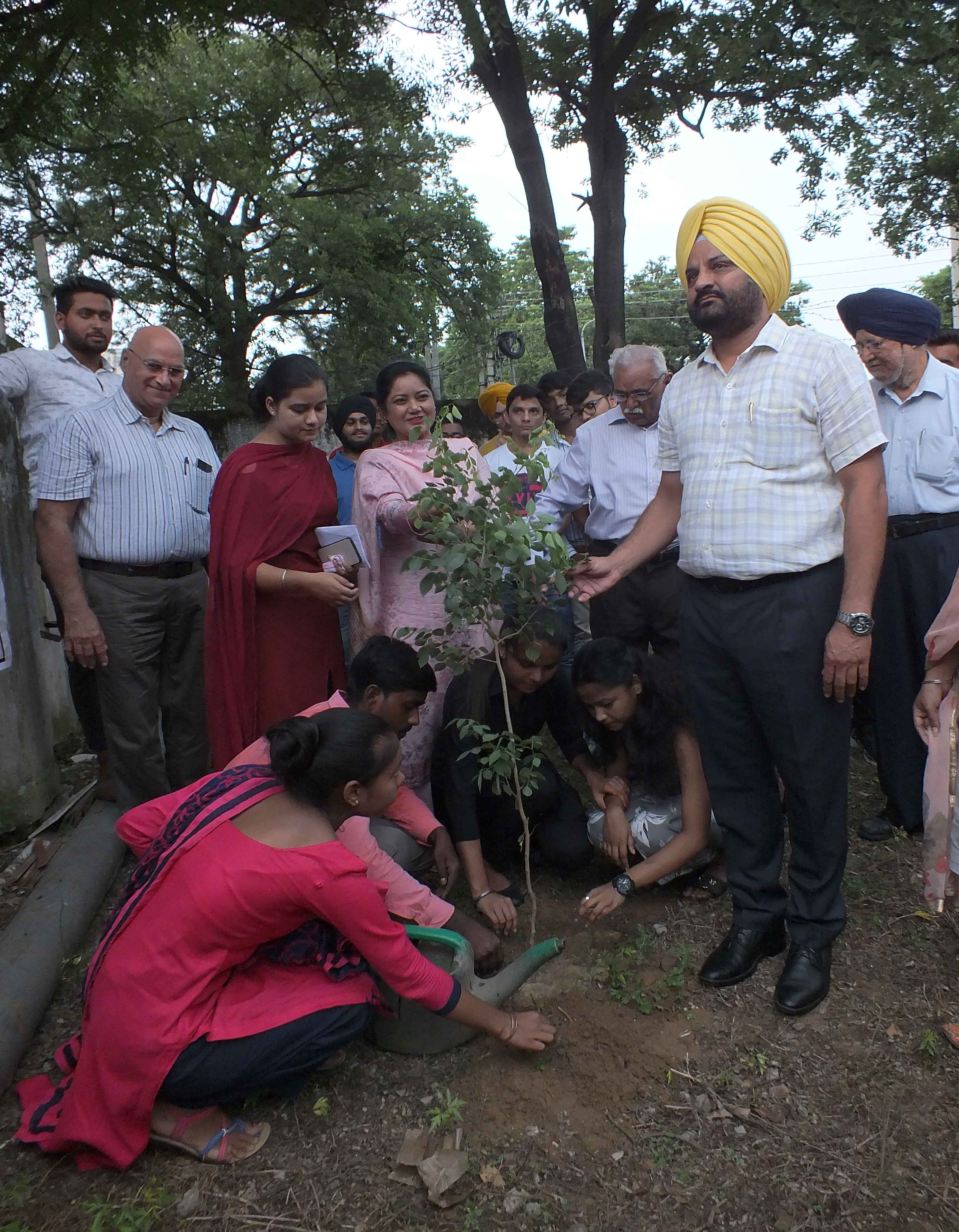 NSS volunteers of Khalsa College plant saplings