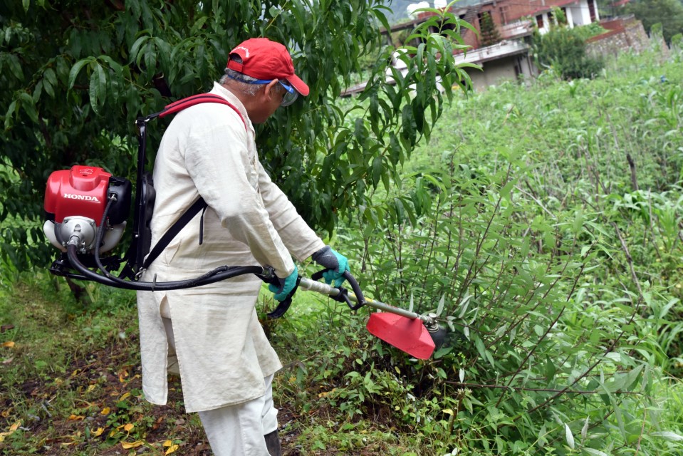 Brush cutter 