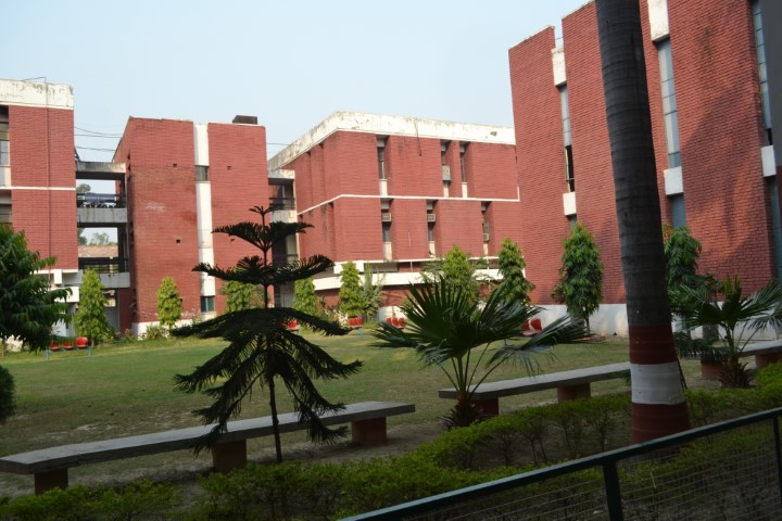 After criticism AMU extends tenure of sacked doctors