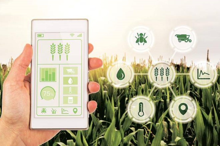 Andhra to launch digital agri studio to update famers