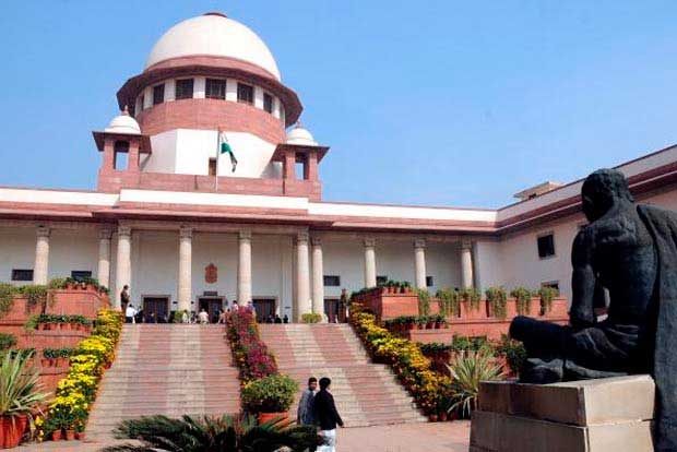 SC sets up panel on tree-cutting guidelines for projects