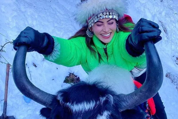 Urvashi Rautela poses on yak to celebrate 35 million Instafam