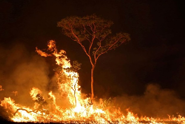 Brazil cuts environment 