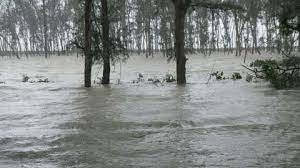 MG Road in Calcutta flooded during heavy rain on Thursday, Cyclone Yaas