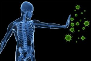 How does our body cope with stress of viral infections?