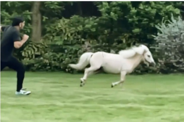 Going Viral: MS Dhoni On A Race Again This Time With His Shetland Pony