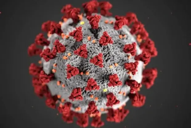 What You Need To Know About The Coronavirus Right Now