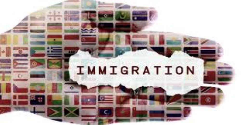 Top best immigration consultants in Chandigarh