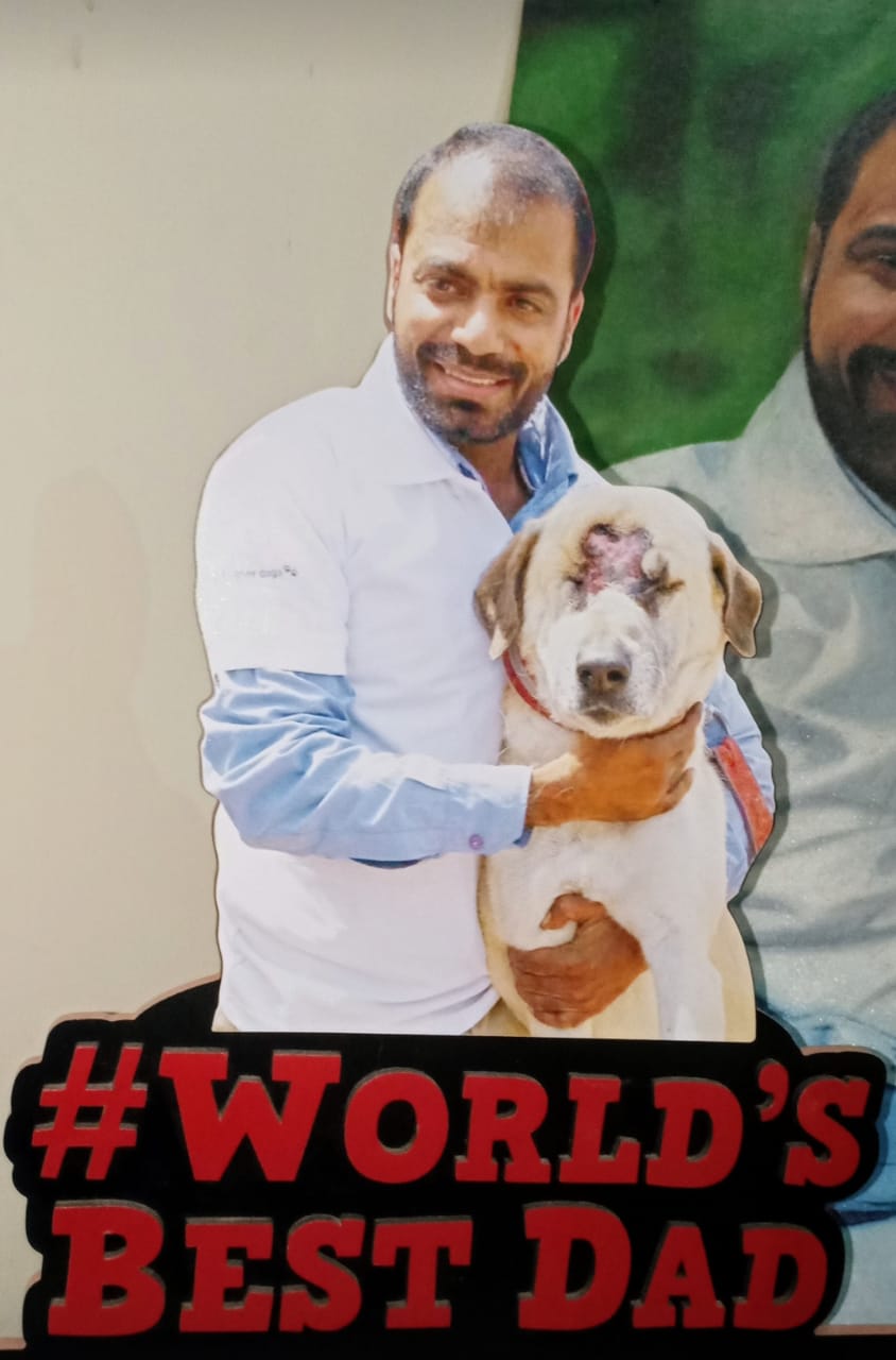 Dogs are neither speechless nor stray: Vikas Luthra