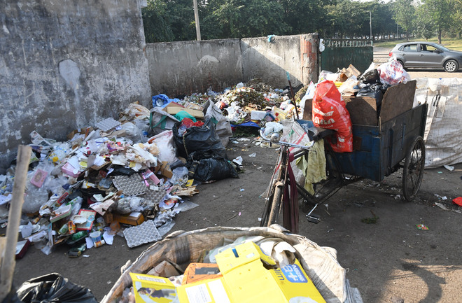 Chandigarh MC Elections: In Asha Kumari Jaswal’s ward, rehris still collect waste