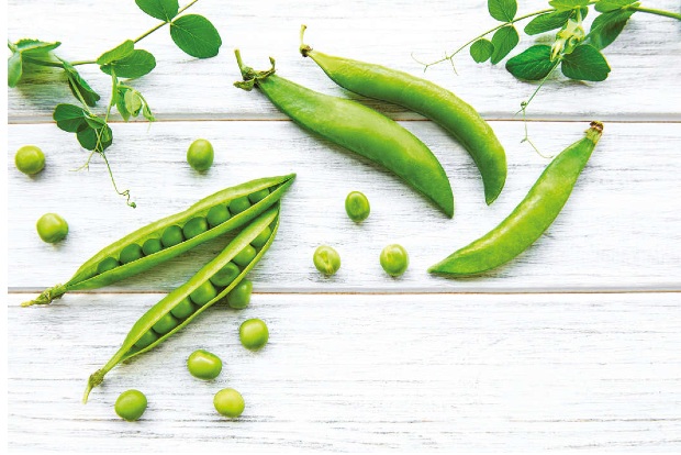 Pea Protein 101: Decoding the myths