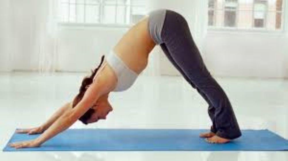 Top 7 yoga poses for beginners