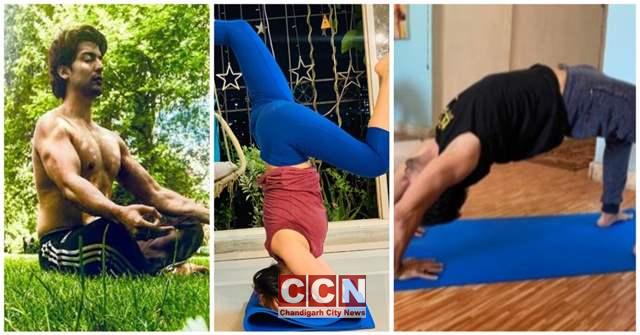 TV actors stretch open the benefits of practicing different yoga ‘asanas’