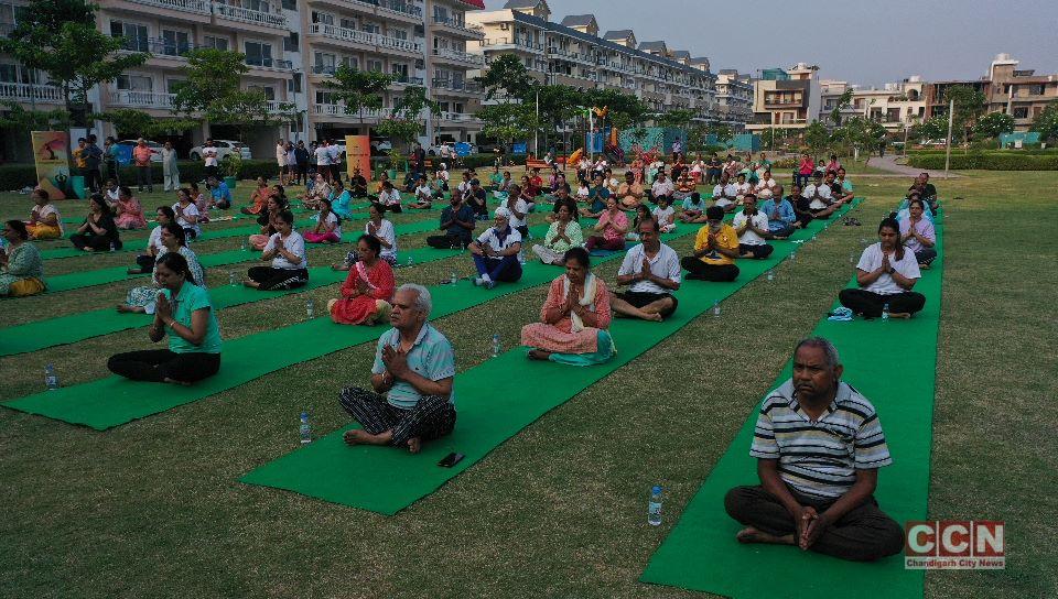 Wave Estate, Mohali organises yoga sessions to commemorate the 9th International Yoga Day