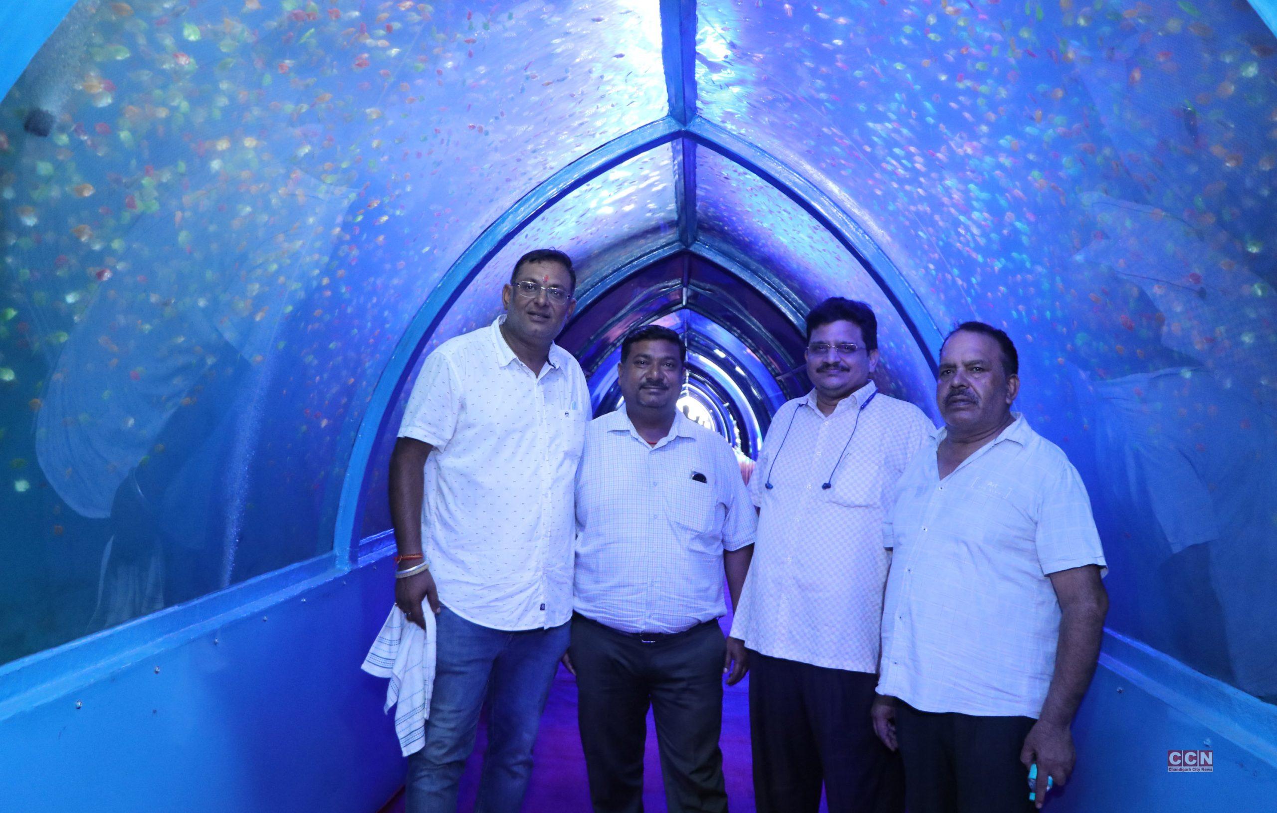 Aquarium tunnels in Chandigarh on the lines of Dubai and Singapore, more than two lakh fish in store