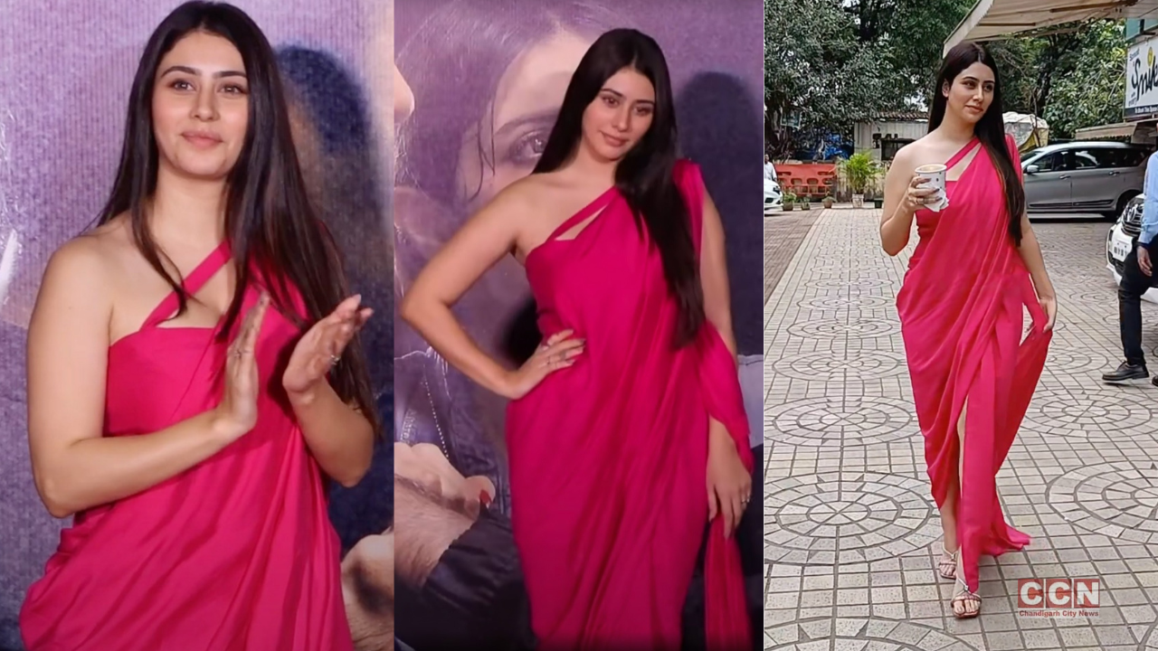 Warina Hussain Amps Up Hotness Quotient In Hot Pink Saree Draped Dress At Yaariyan 2 Trailer Launch 