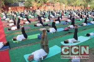 Successful Demonstration of Yoga Protocol & National Conference in YOGA College