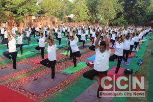 Successful Demonstration of Yoga Protocol & National Conference in YOGA College