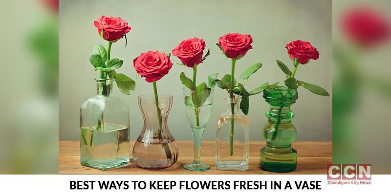 How to Keep Cut Flowers Alive: Six Top Tips for Long-Lasting Vases in Your Home