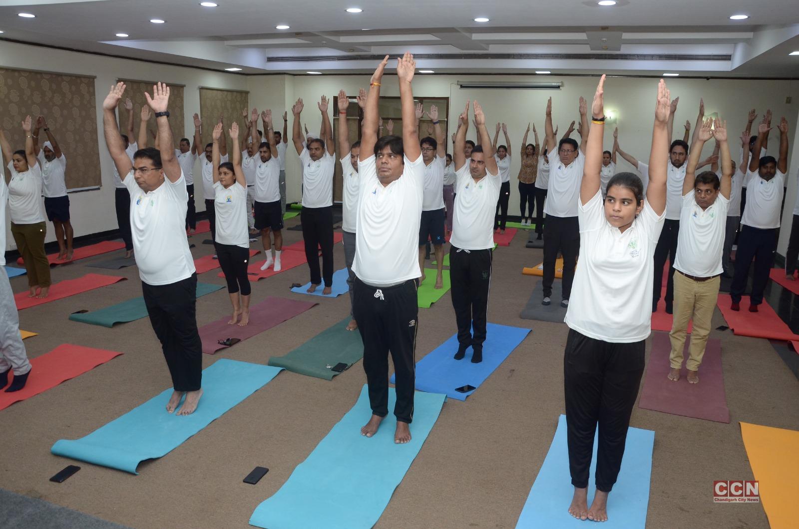 PHDCCI SHE Forum Celebrates International Yoga Day