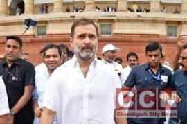 Rahul Gandhi's Comments After Expunged Lok Sabha Speech Remarks