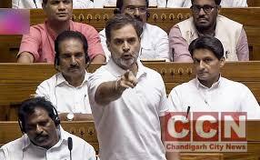 Rahul Gandhi's Comments After Expunged Lok Sabha Speech Remarks