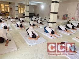 Top 10 Yoga Centers in Chandigarh