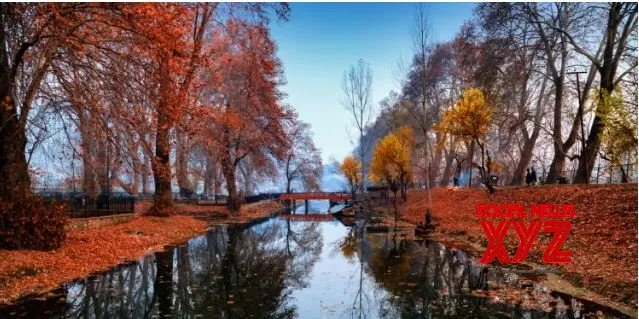 Kashmir’s golden yellow autumn starts making way for winter